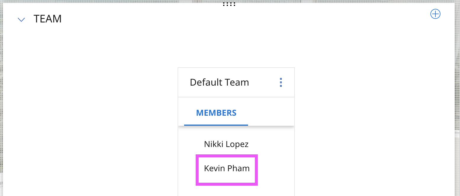 team-member-display.png